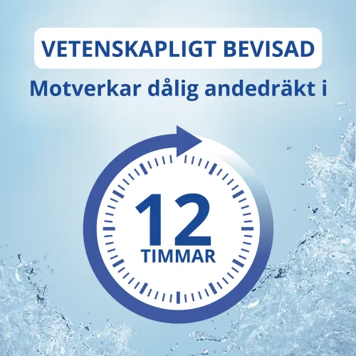 Mint Munskölj
