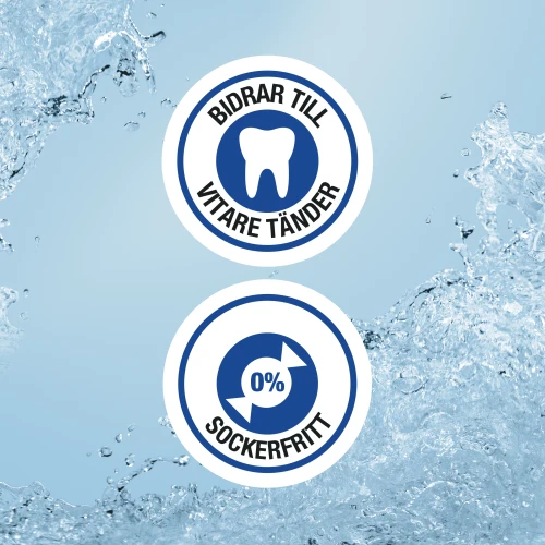 Boost Gum Eucalyptus White